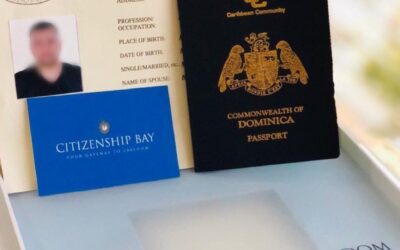 امن گذرنامه دومینیکا، امن آینده خود را