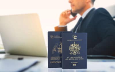 6 причин, почему люди выбирают двойное гражданство