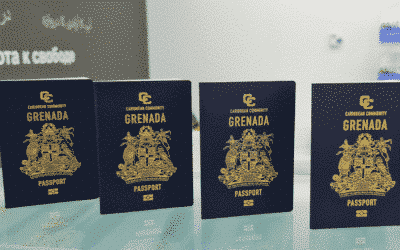 Grenada: More than 11,000 CBI applications granted since 2017